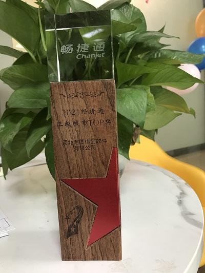 用友畅捷通三级城市TOP奖