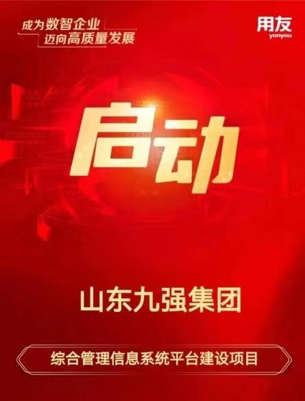 山东九强集团用友软件综合管理信息系统平台建设项目