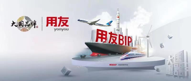 用友BIP大国品牌